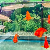 Photo taken at Pet Zone Tropical Fish by Roger M. on 9/6/2020