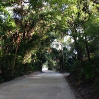 Kathryn Abbey Hanna Park Greater Arlington 20 Tips