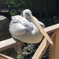 Photo taken at Odense Zoo by Louise H. on 7/21/2018