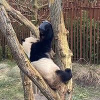 Photo taken at Copenhagen Zoo by Louise H. on 2/24/2024