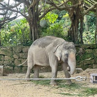 Photo taken at OKINAWA Zoo &amp;amp; Museum by higa K. on 2/8/2023