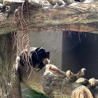 Photo taken at OKINAWA Zoo &amp; Museum by higa K. on 2/8/2023