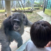 Photo taken at OKINAWA Zoo &amp;amp; Museum by higa K. on 2/8/2023