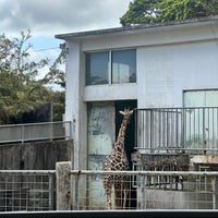 Photo taken at OKINAWA Zoo &amp;amp; Museum by higa K. on 2/8/2023