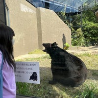 Photo taken at OKINAWA Zoo &amp;amp; Museum by higa K. on 2/8/2023