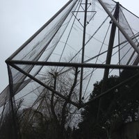 Photo taken at Snowdon Aviary by Helen W. on 1/6/2013