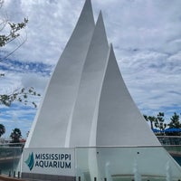 Снимок сделан в Mississippi Aquarium пользователем Cecilia C. 6/29/2022