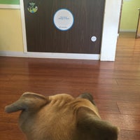 vca crocker animal hospital