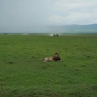 Photo taken at Ngorongoro Crater by Dmitry W. on 1/1/2016