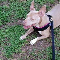 Photo taken at Grant Park Dog Field by Jamal M. on 5/4/2014