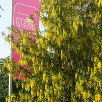 L Tur Travel Agency