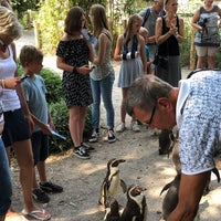 7/21/2018にRobert d.がAqua Zooで撮った写真