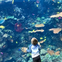 Photo taken at Georgia  Aquarium ballroom by SportsTechie @. on 4/23/2017