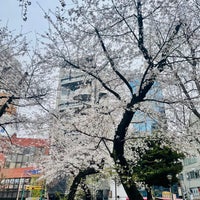 Photo taken at Nishi-Ikebukuro Park by Yoü ღ. on 4/2/2024