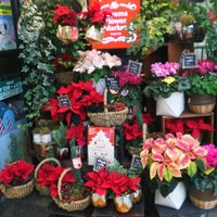 青山フラワーマーケット 蒲田 Tokyo 東京都
