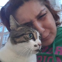 Yurtici Kargo Avcilar Subesi Deniz Koskler 8 Tavsiye