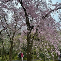 Photo taken at Ryoan-ji by Kenjiro U. on 4/8/2024