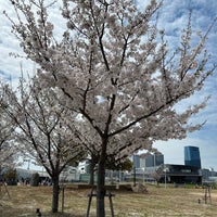 Photo taken at Meriken Park by Kenjiro U. on 4/7/2024