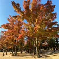 Photo taken at Okayama Prefectural Multipurpose Grounds by Kenjiro U. on 11/29/2021