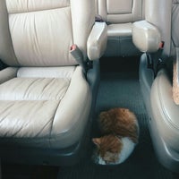 Klinik Haiwan Kamunting 47 Visitors