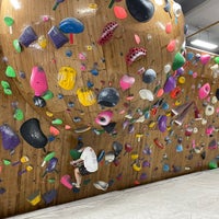 ロッキーボルダリングクラブ品川 Skalodrom V 港区