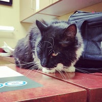 vca tlc animal hospital