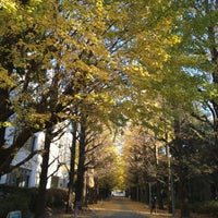 Photo taken at Gingko Trees by おとさら on 11/28/2021