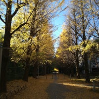 Photo taken at Gingko Trees by おとさら on 11/28/2021