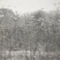 Photo taken at Amtrak - South Bend Station (SOB) by Sandi G. on 1/23/2018