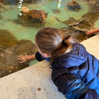 Photo taken at Turtle Back Zoo by Melissa W. on 3/5/2023