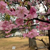 Photo taken at 松原公園 by りんご 桜. on 2/11/2024