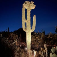 Photo taken at Desert Botanical Garden by Katrina M. on 12/28/2023