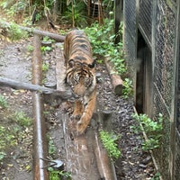 4/24/2024にChristian M.が上野動物園で撮った写真