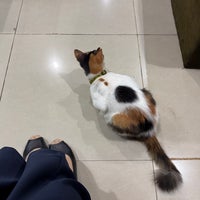 Review Garuda Sentra Operasi (GSO)