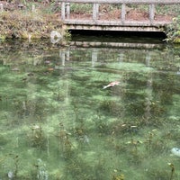 Photo taken at モネの池 by akakeno on 12/19/2023