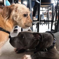 4/14/2018 tarihinde Bea C.ziyaretçi tarafından Lucky Dog Bark &amp;amp; Brew'de çekilen fotoğraf