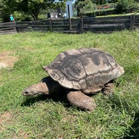 Foto tomada en Leesburg Animal Park  por Cynthia D. el 9/6/2021