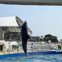 Photo taken at Dolphin Lagoon by Toshi O. on 4/8/2022