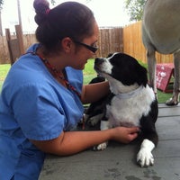 รูปภาพถ่ายที่ Rutherford Veterinary Hospital โดย Eliot L. เมื่อ 9/19/2013