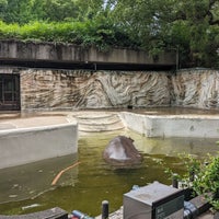 Photo taken at Hippopotamus by たかゆき く. on 7/8/2023