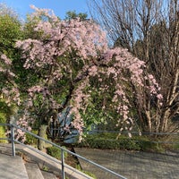 Photo taken at 北の丸公園 お堀 by Youki S. on 3/24/2021