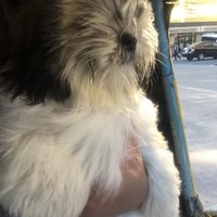 kingdom veterinary clinic