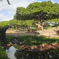 Снимок сделан в Honolulu Zoo пользователем Dixie 1/6/2024