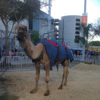 Photo taken at HLSR Camel Rides by ArtJonak on 3/14/2013