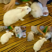 Photo taken at Barks Bunnies Cafe by Barks B. on 1/16/2016