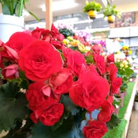 Dcmホーマック 石川店 Furniture Home Store