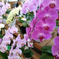 Dcmホーマック 石川店 Magasin D Ameublement De Decoration Interieure