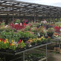 花木センター 60 Visitors 花木センター 60 Visitors