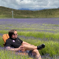 Снимок сделан в New Zealand Alpine Lavender Farm and Shop пользователем Tyler M. 12/29/2019
