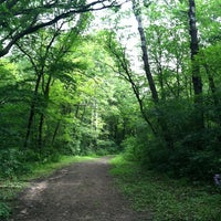 Photos At Cottage Grove Ravine Regional Park Cottage Grove Mn